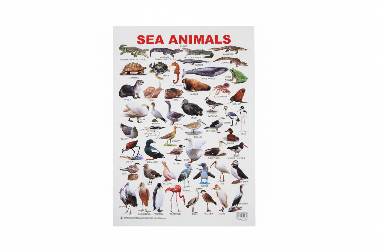 SEA ANIMALS Chart / لوحة تعليمية