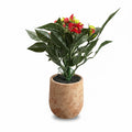 Artificial Plants / نباتات صناعية