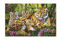 Puzzle 500 Pieces / لغز 500 قطعة