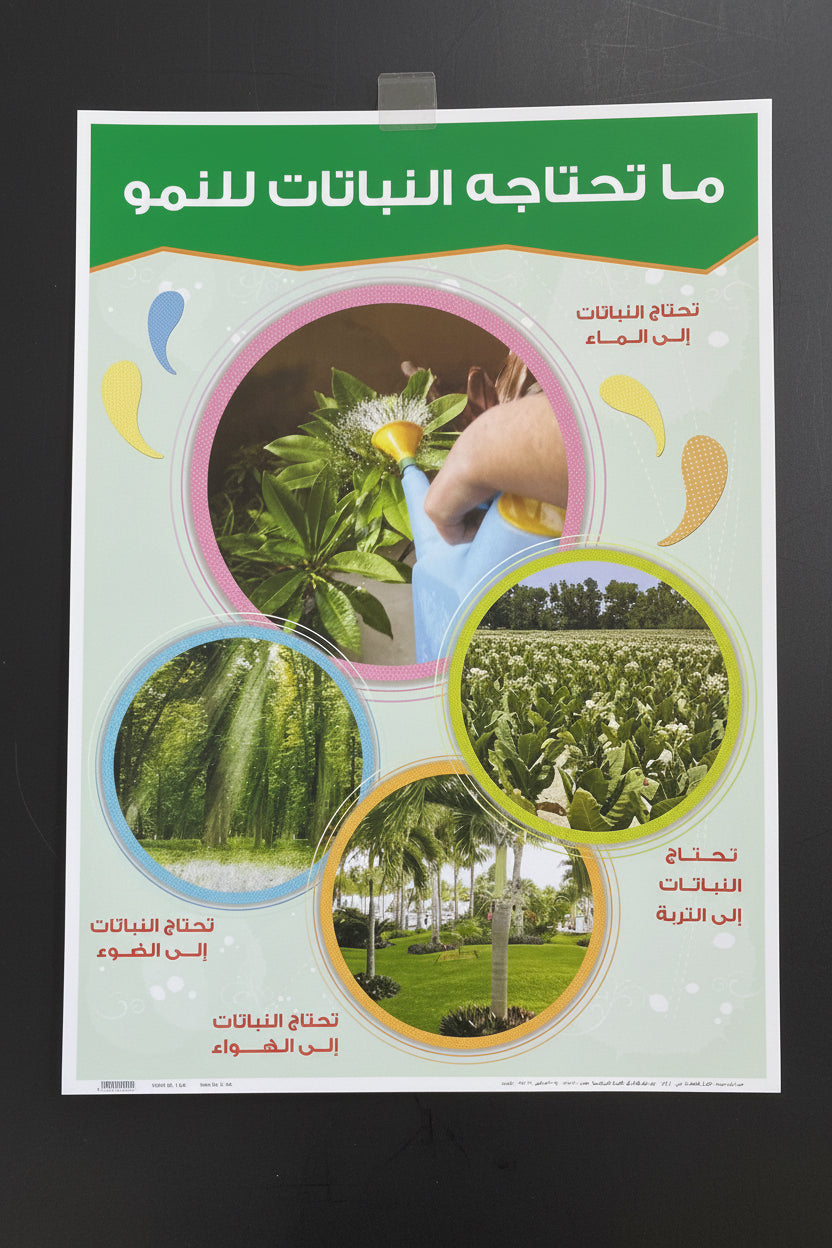 وسيلة ماتحتاجه النباتات للنمو