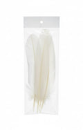 Feathers / ريش