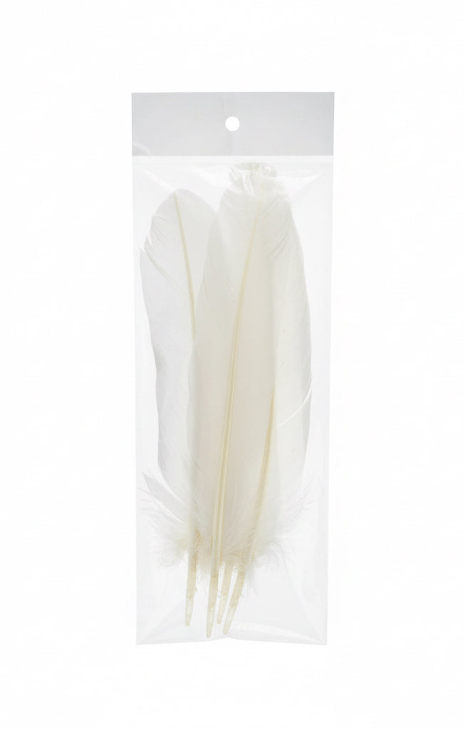 Feathers / ريش