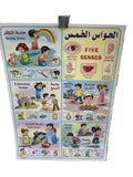 وسيلة الحواس الخمس