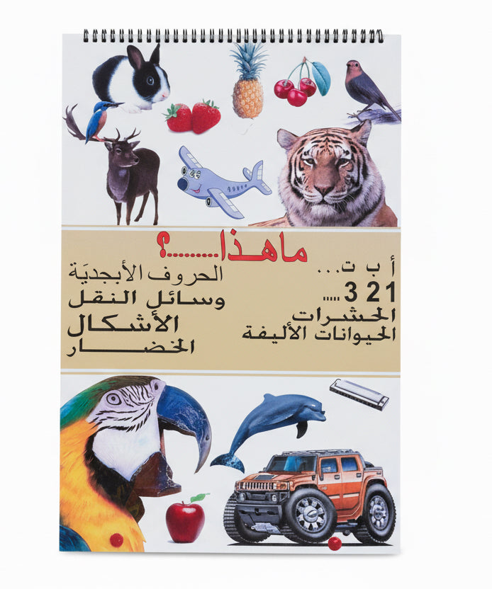 Learning Poster / ملصق تعليمي