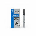 Pilot SUPER COLOR Silver SC-S-M – Set of 12 Markers