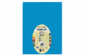 Vivaldi Canson Paper A3 185 gsm 5x / ورق كانسون فيفالدي 185 جم/م² ×5 A3