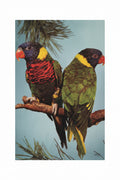 Parrot Sticker Sheet / ورقة ملصقات ببغاء