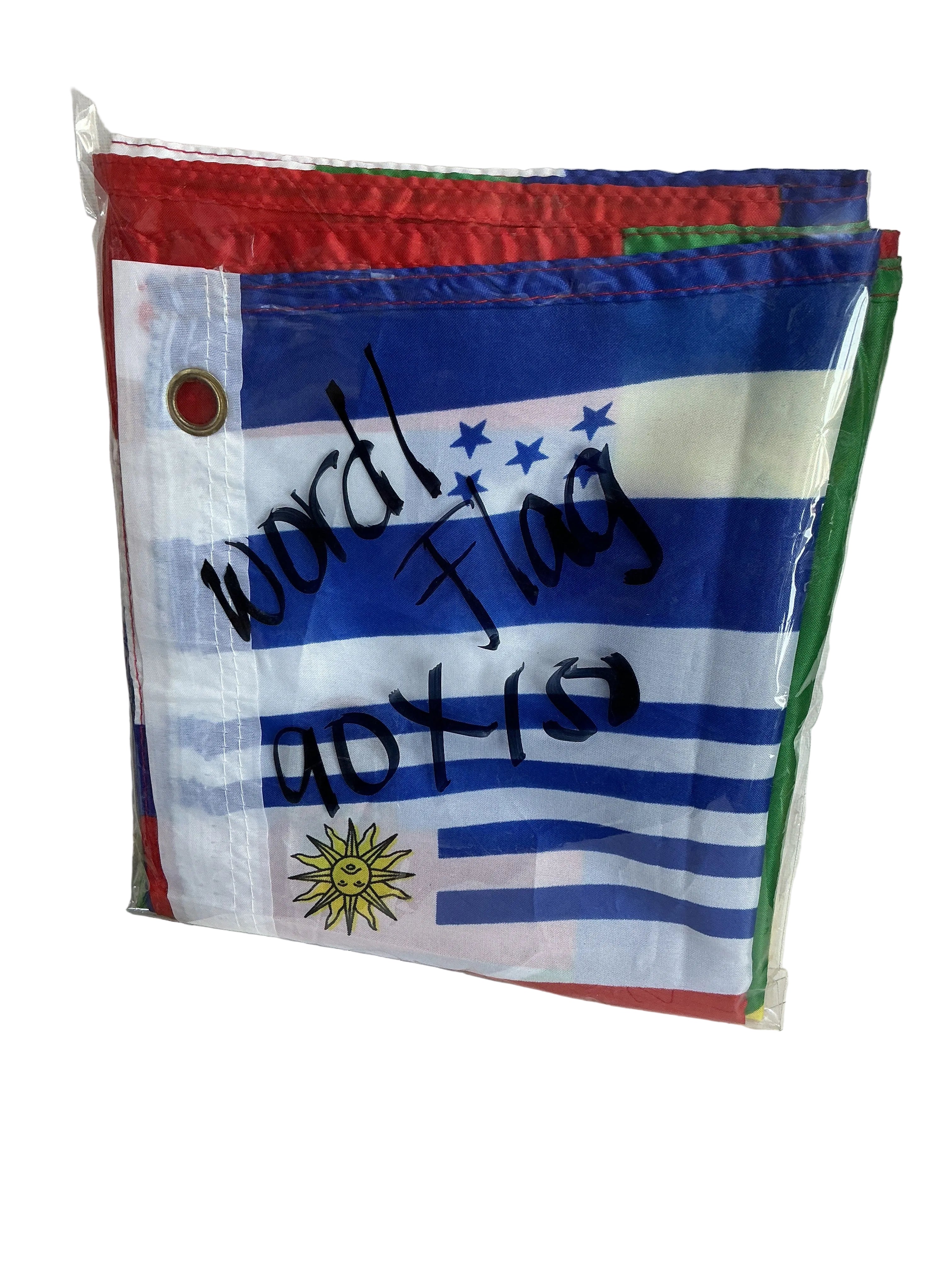 WORLD Flag 90x150/ علم العالم