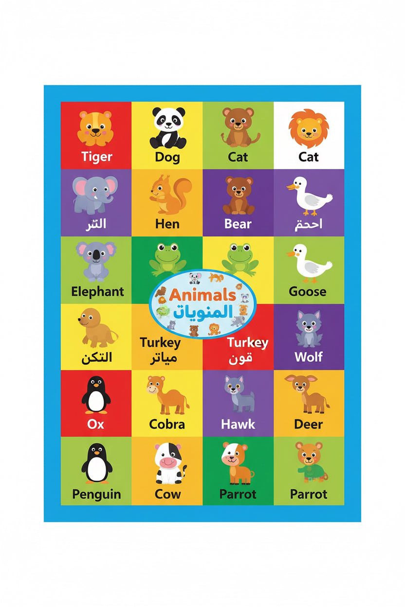 الحيوانات / ANIMALS