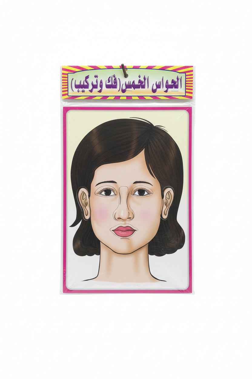 Wall Charts / لوحات حائط