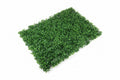 Fake Grass / عشب صناعي