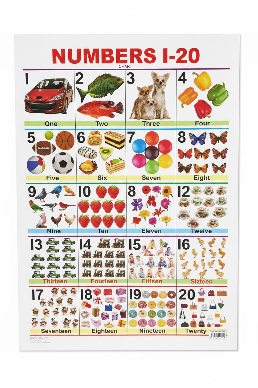 Learning Chart / لوحة تعليمية