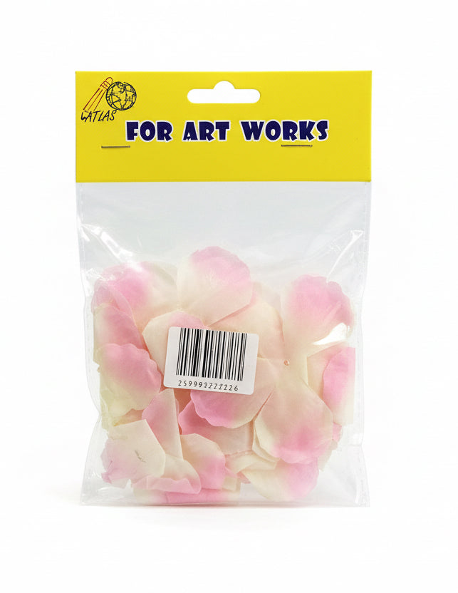 Dried flowers / زهور مجففة