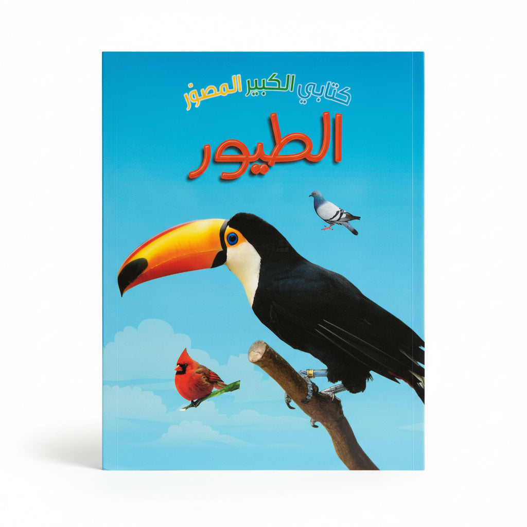 الطيور
