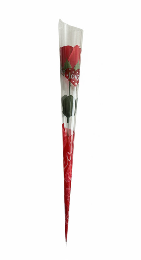 Red Rose / وردة حمراء