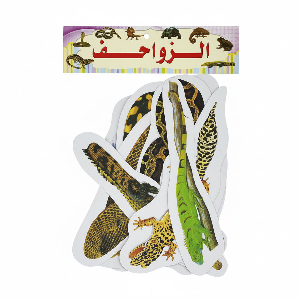 Wall Charts / لوحات حائط
