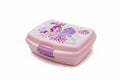 Pink Lunch Box / علبة غداء وردية