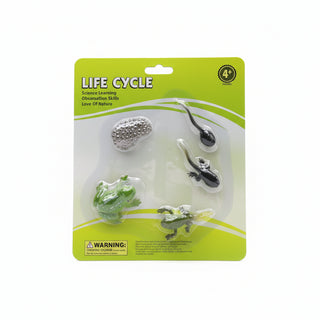 LIFE CYCLE – Frog / دورة الحياة – الضفدع