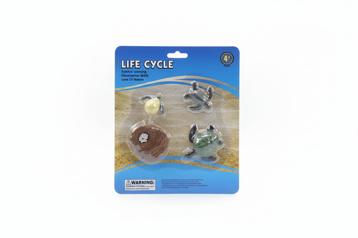 LIFE CYCLE / دورة الحياة