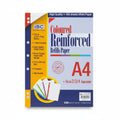 IBC Coloured Reinforced Refills paper A4 160 Sheets /أوراق إعادة تعبئة ملوّنة معزّزة IBC مقاس A4، عدد 160 ورقة
