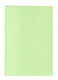 Binding Cover 100 Sheets A4 Light Green / أغطية تجليد A4 – 100 ورقة، أخضر فاتح