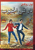 نار في الجنوب