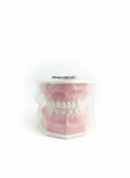Artificial Teeth Structure / بنية الأسنان الصناعية