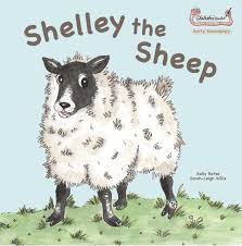 Shelly the sheep / شيلي الخروف
