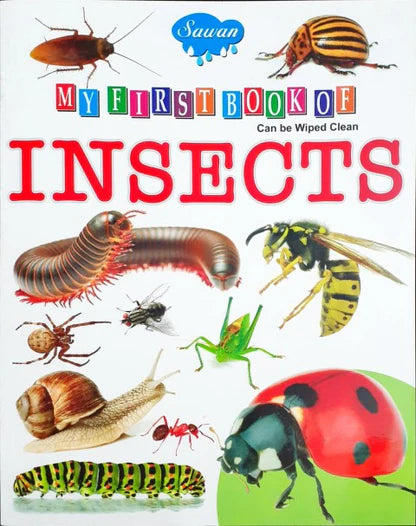 My first Book of Insects / كتابي الأول عن الحشرات