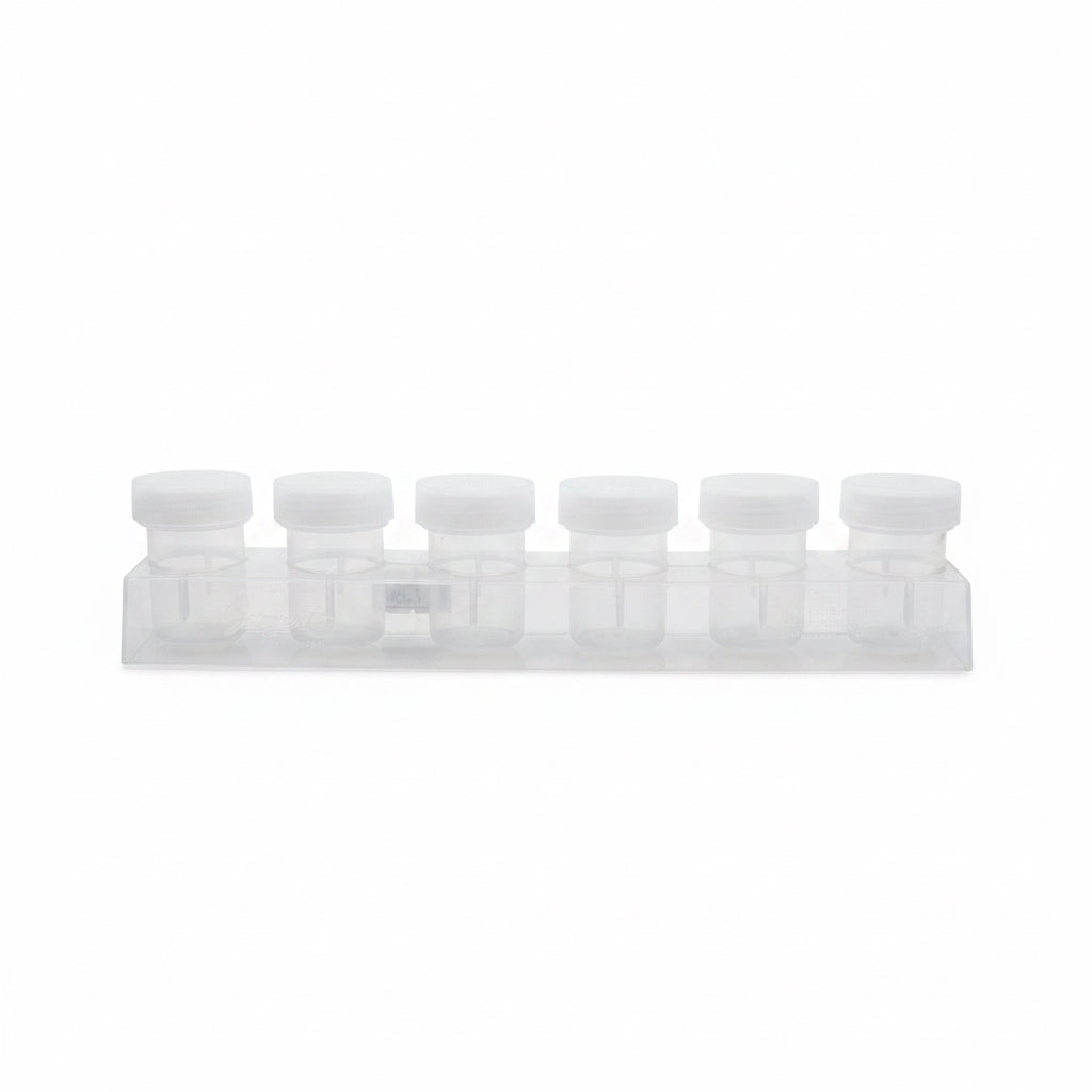 Sargent Art 6 Paint Pots with Screw Lids / سارجنت آرت 6 علب دهان بأغطية لولبية